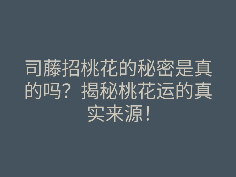 司藤招桃花的秘密是真的吗?揭秘桃花运的真实来源!