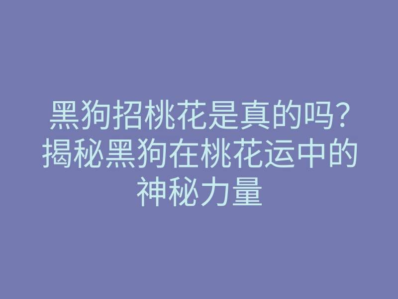 黑狗招桃花是真的吗?揭秘黑狗在桃花运中的神秘力量