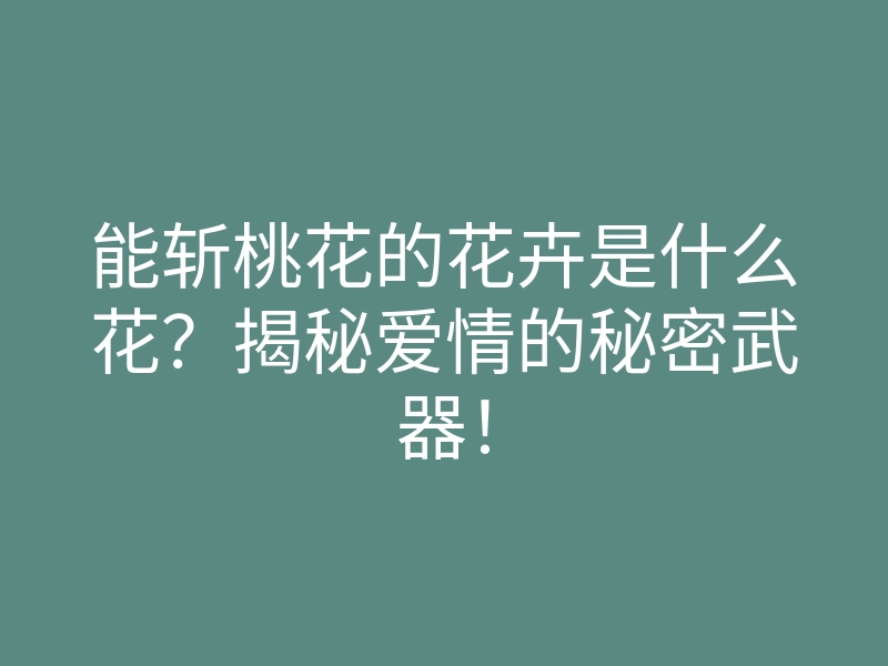 能斩桃花的花卉是什么花?揭秘爱情的秘密武器!