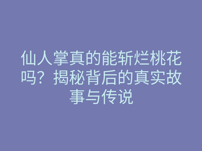 仙人掌真的能斩烂桃花吗?揭秘背后的真实故事与传说