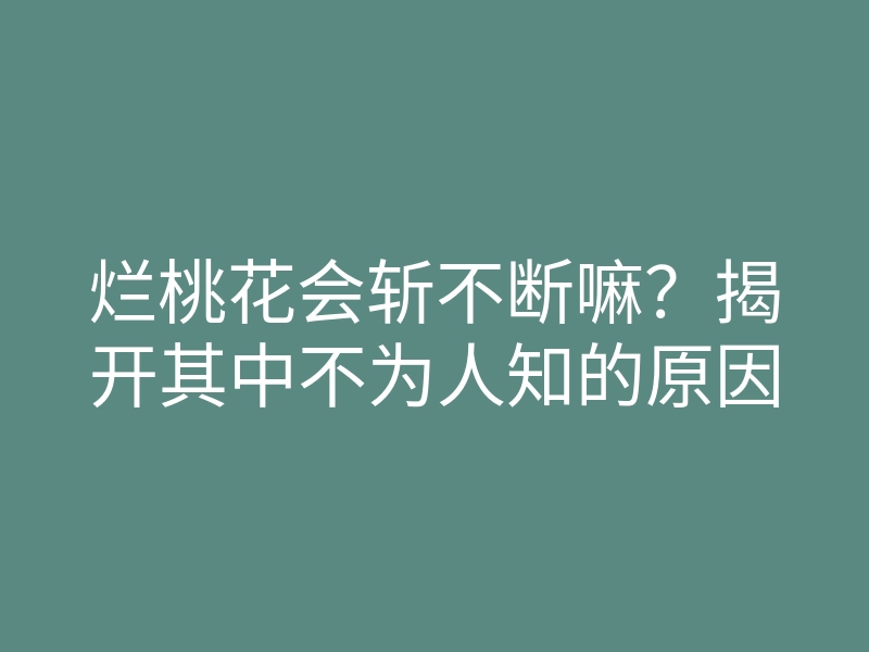 烂桃花会斩不断嘛?揭开其中不为人知的原因