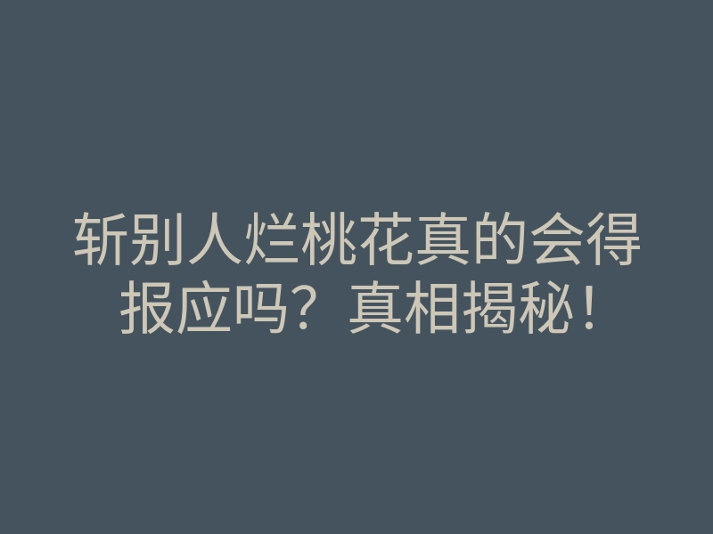 斩别人烂桃花真的会得报应吗?真相揭秘!