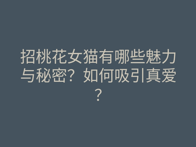 招桃花女猫有哪些魅力与秘密?如何吸引真爱?