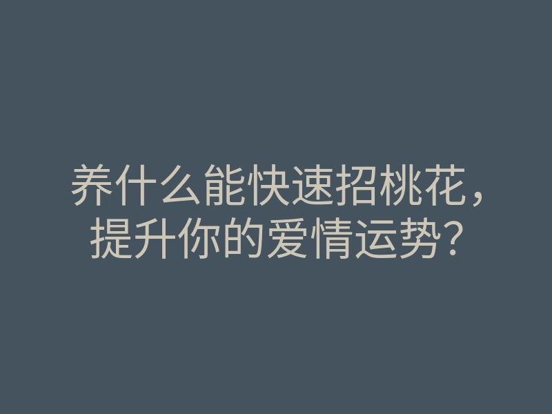 养什么能快速招桃花,提升你的爱情运势?