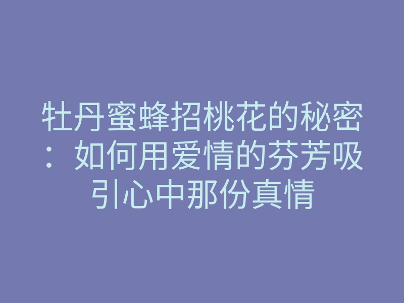 牡丹蜜蜂招桃花的秘密：如何用爱情的芬芳吸引心中那份真情
