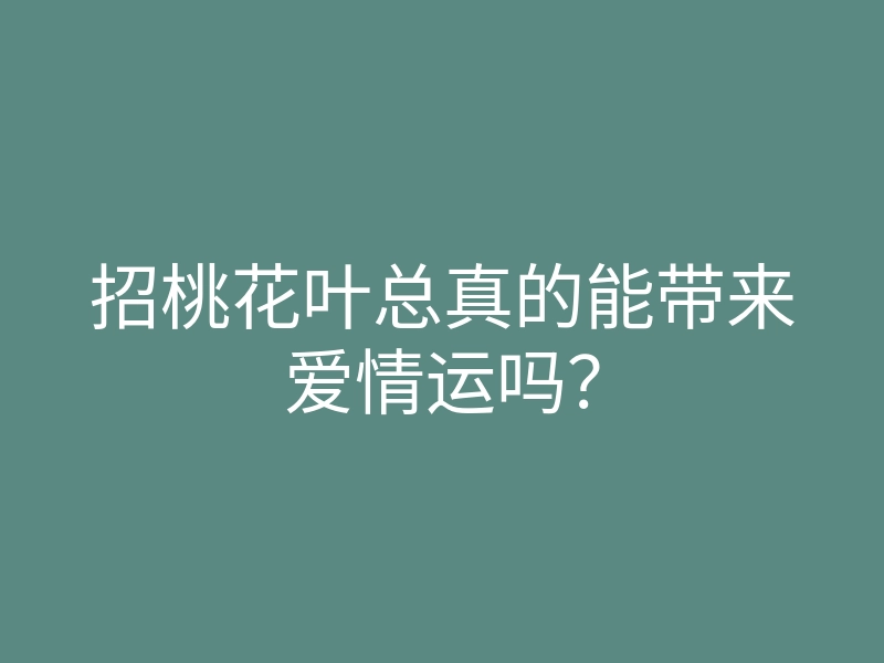 招桃花叶总真的能带来爱情运吗?