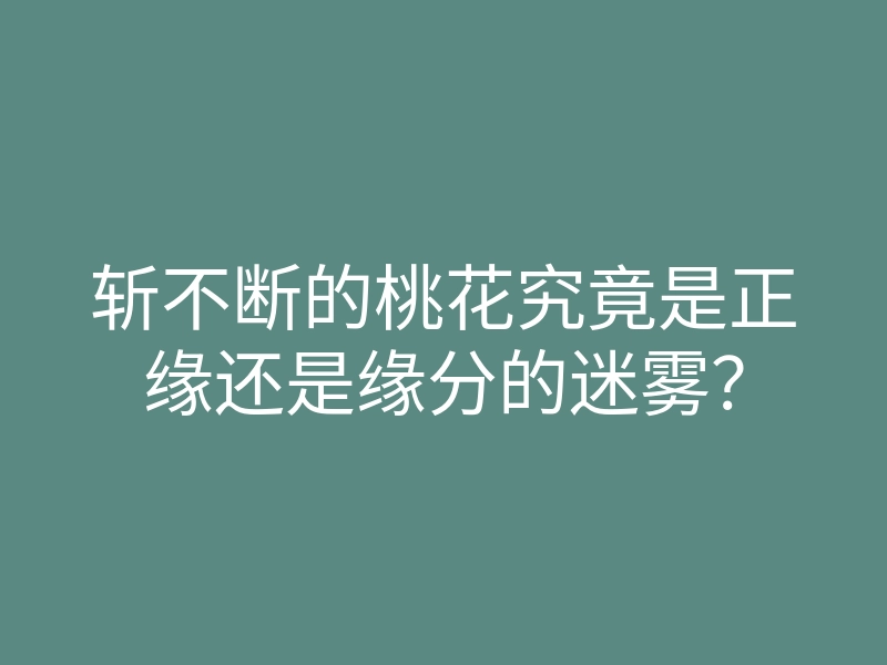 斩不断的桃花究竟是正缘还是缘分的迷雾?
