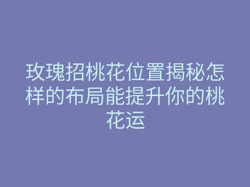 玫瑰招桃花位置揭秘怎样的布局能提升你的桃花运