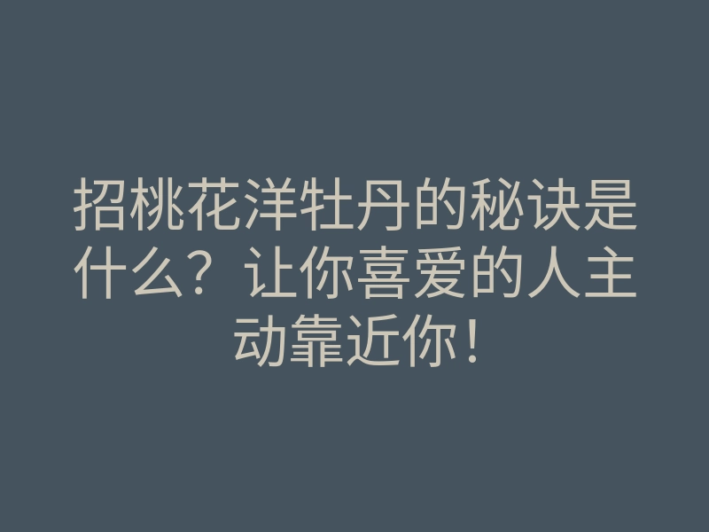 招桃花洋牡丹的秘诀是什么？让你喜爱的人主动靠近你！