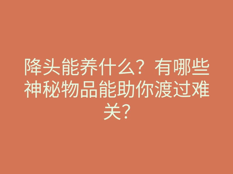 降头能养什么?有哪些神秘物品能助你渡过难关?