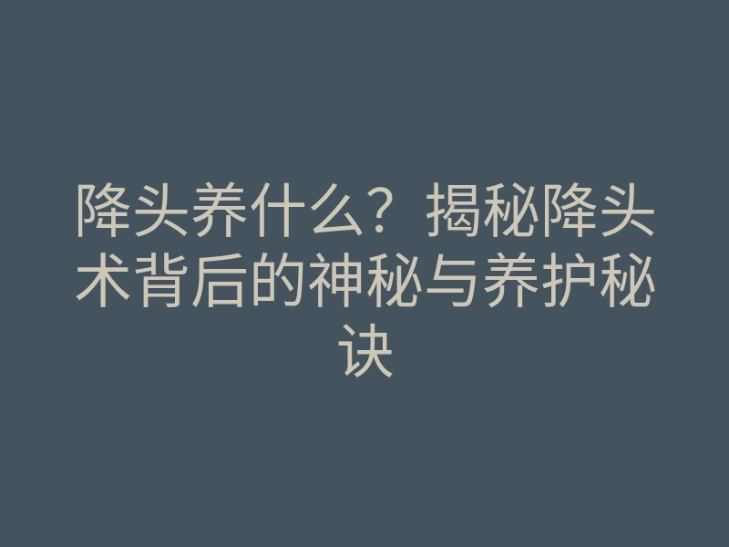 降头养什么?揭秘降头术背后的神秘与养护秘诀