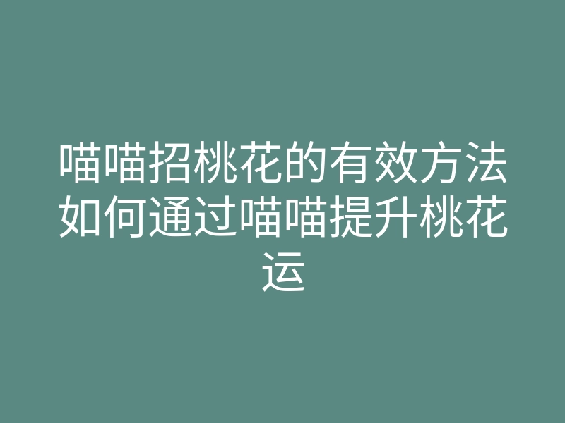 喵喵招桃花的有效方法如何通过喵喵提升桃花运