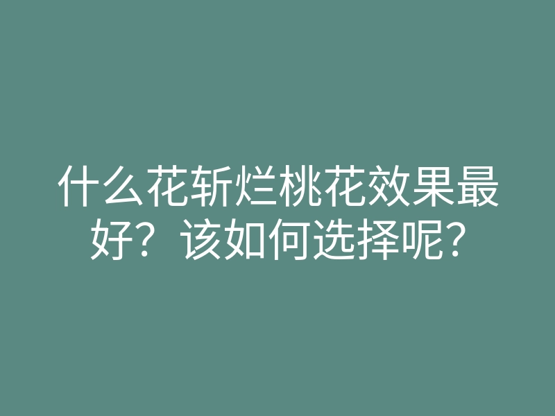 什么花斩烂桃花效果最好?该如何选择呢?