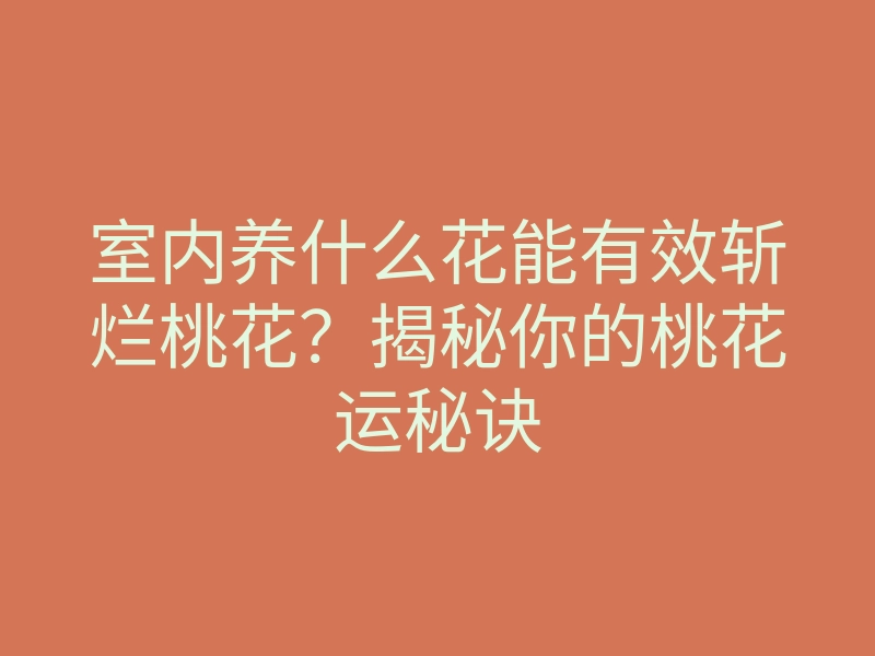 室内养什么花能有效斩烂桃花?揭秘你的桃花运秘诀