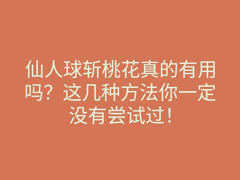 仙人球斩桃花真的有用吗?这几种方法你一定没有尝试过!