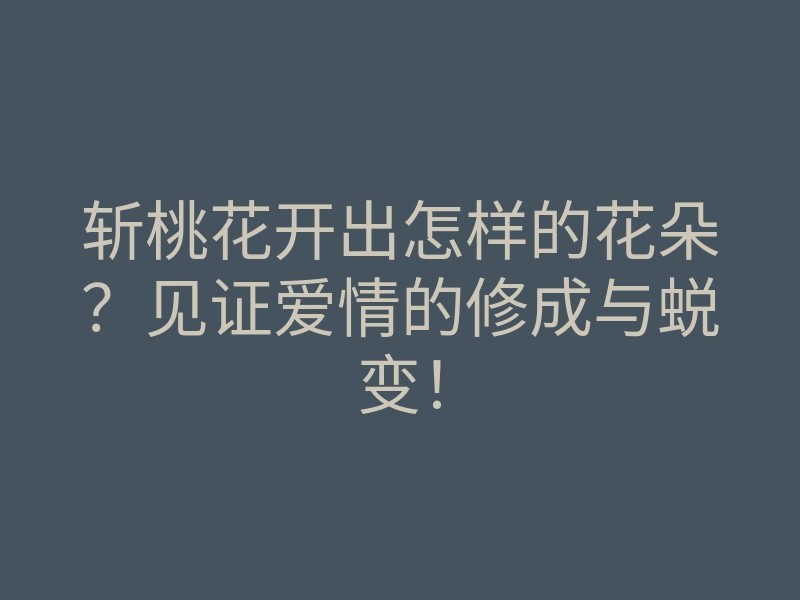 斩桃花开出怎样的花朵?见证爱情的修成与蜕变!