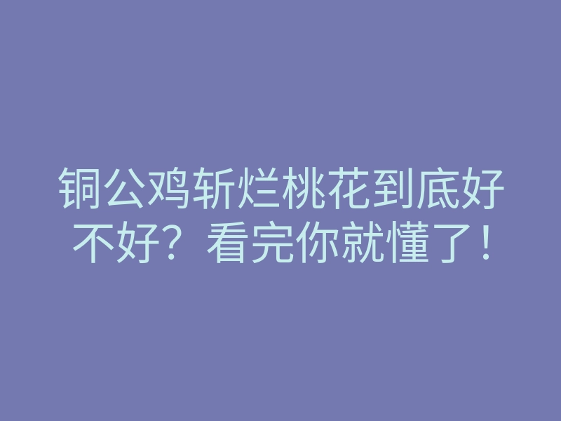 铜公鸡斩烂桃花到底好不好?看完你就懂了!
