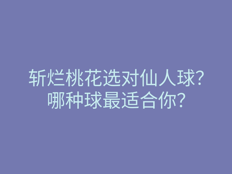 斩烂桃花选对仙人球?哪种球最适合你?