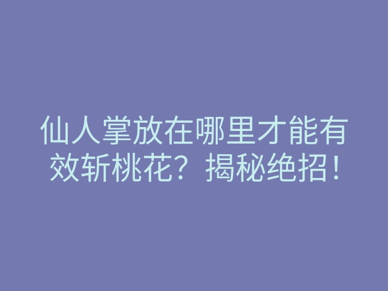 仙人掌放在哪里才能有效斩桃花?揭秘绝招!