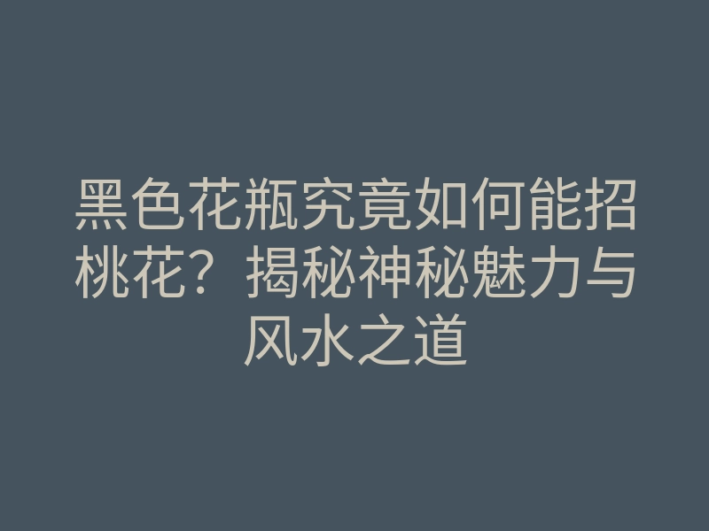 黑色花瓶究竟如何能招桃花?揭秘神秘魅力与风水之道