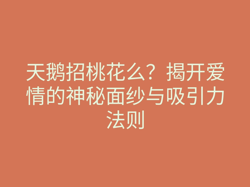 天鹅招桃花么?揭开爱情的神秘面纱与吸引力法则