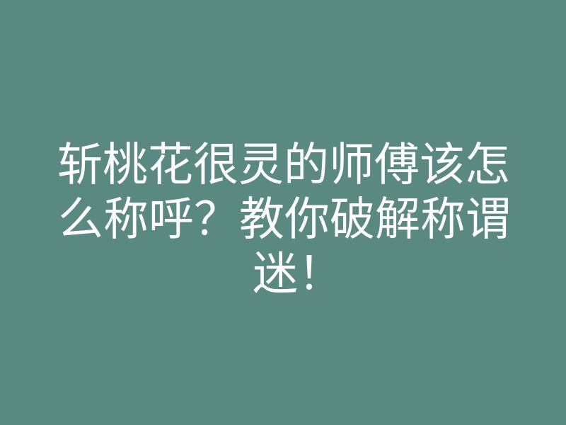 斩桃花很灵的师傅该怎么称呼？教你破解称谓迷！