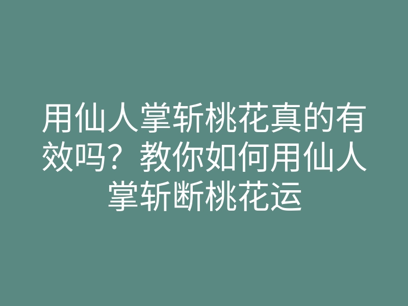 用仙人掌斩桃花真的有效吗？教你如何用仙人掌斩断桃花运