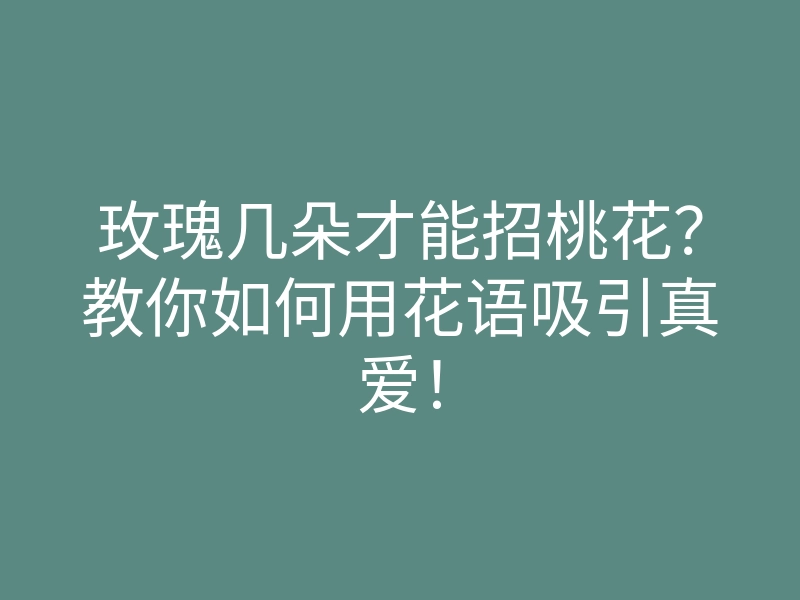 玫瑰几朵才能招桃花?教你如何用花语吸引真爱!