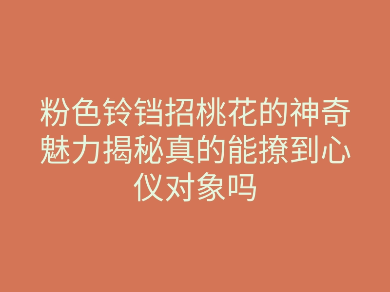 粉色铃铛招桃花的神奇魅力揭秘真的能撩到心仪对象吗