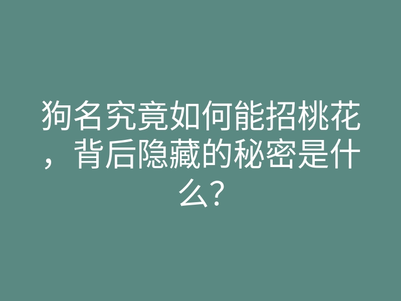狗名究竟如何能招桃花,背后隐藏的秘密是什么?