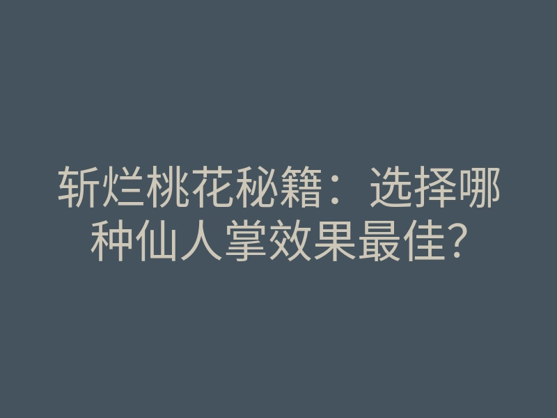 斩烂桃花秘籍:选择哪种仙人掌效果最佳?