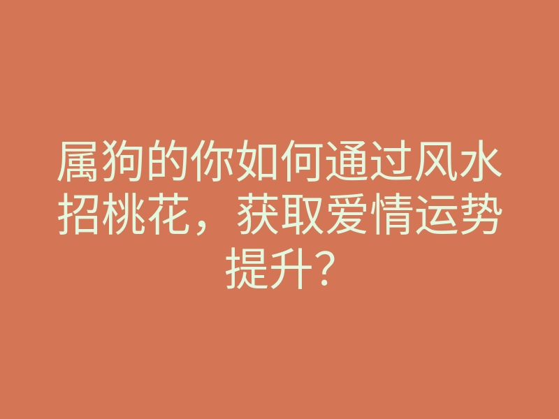 属狗的你如何通过风水招桃花,获取爱情运势提升?