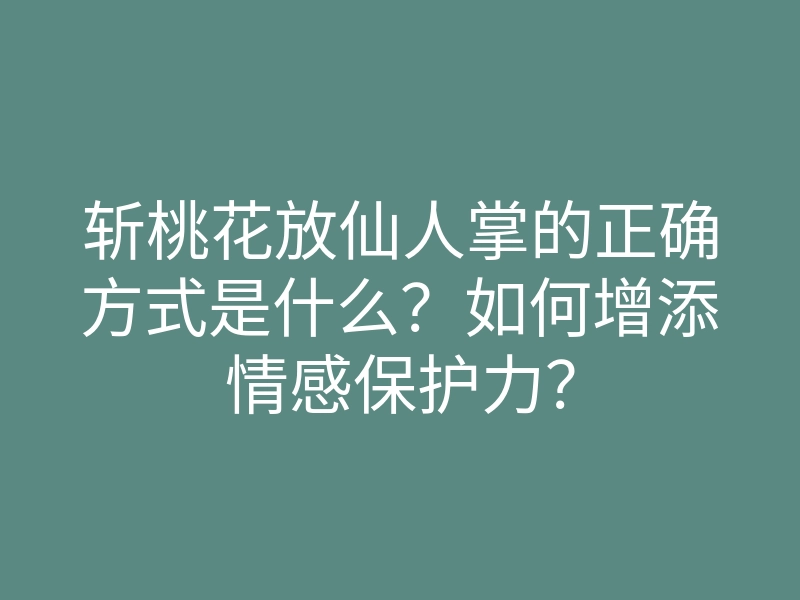 斩桃花放仙人掌的正确方式是什么?如何增添情感保护力?