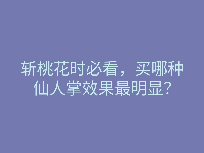 斩桃花时必看,买哪种仙人掌效果最明显?
