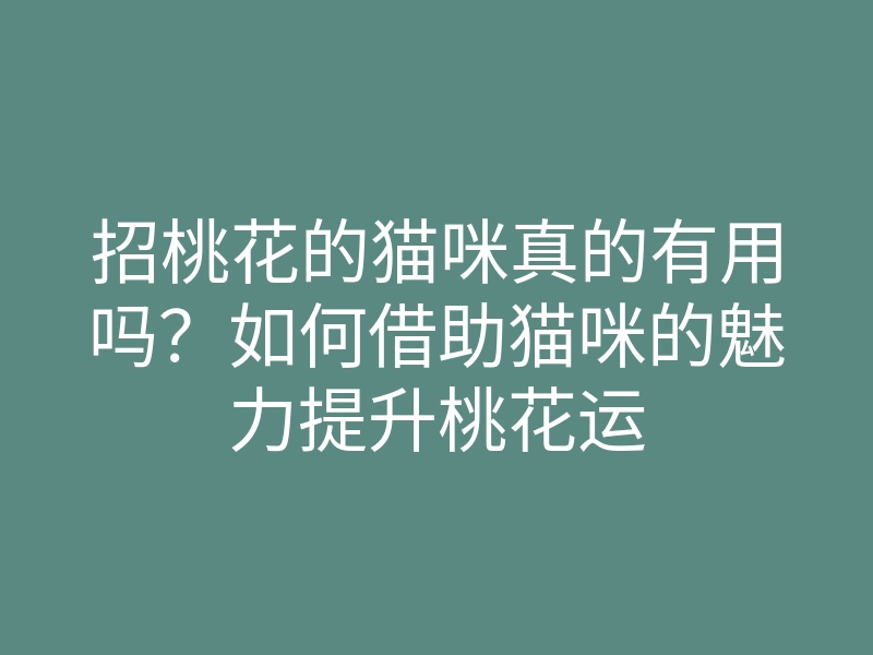 招桃花的猫咪真的有用吗?如何借助猫咪的魅力提升桃花运
