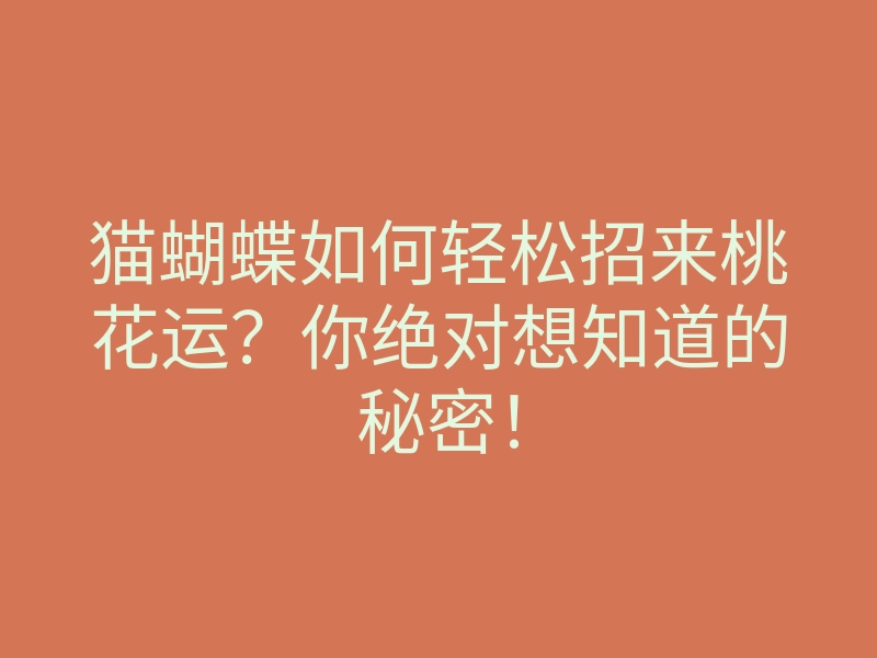 猫蝴蝶如何轻松招来桃花运？你绝对想知道的秘密！