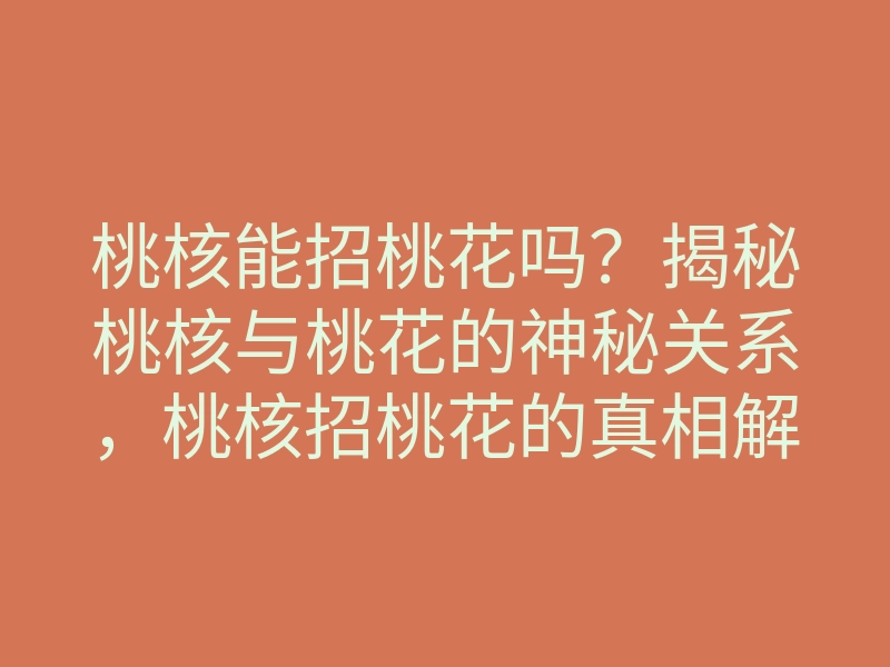 桃核能招桃花吗?揭秘桃核与桃花的神秘关系,桃核招桃花的真相解析