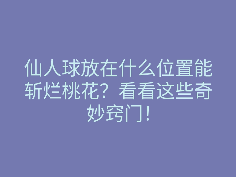 仙人球放在什么位置能斩烂桃花?看看这些奇妙窍门!