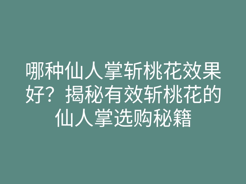 哪种仙人掌斩桃花效果好？揭秘有效斩桃花的仙人掌选购秘籍