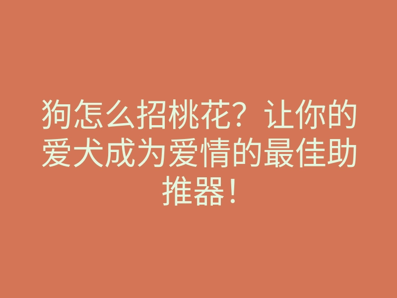 狗怎么招桃花?让你的爱犬成为爱情的最佳助推器!