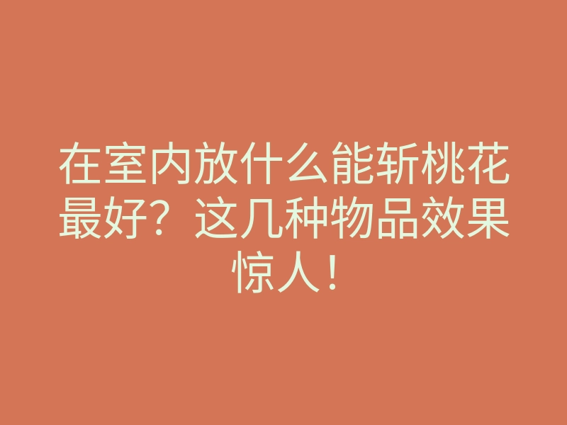 在室内放什么能斩桃花最好?这几种物品效果惊人!