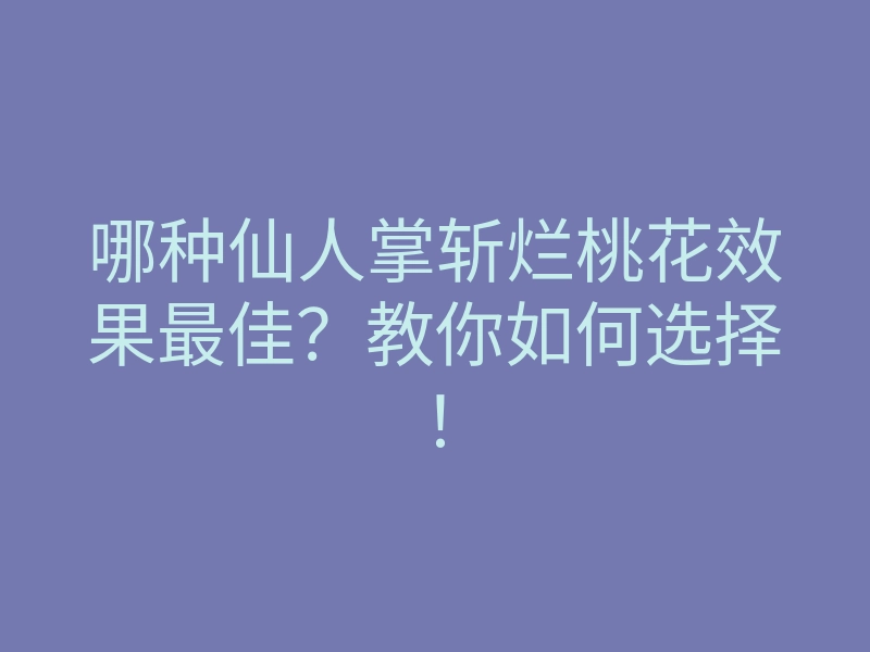 哪种仙人掌斩烂桃花效果最佳?教你如何选择!