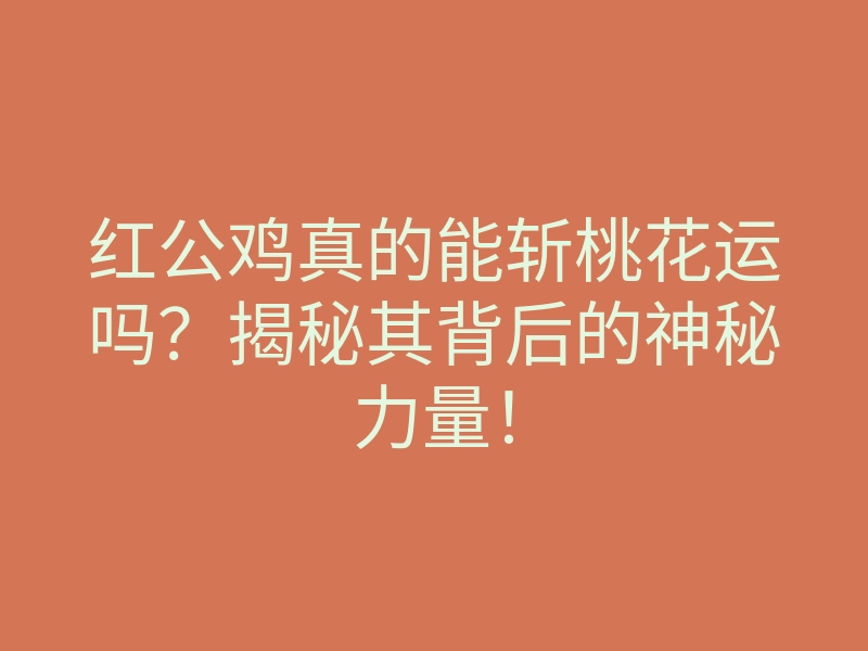 红公鸡真的能斩桃花运吗?揭秘其背后的神秘力量!