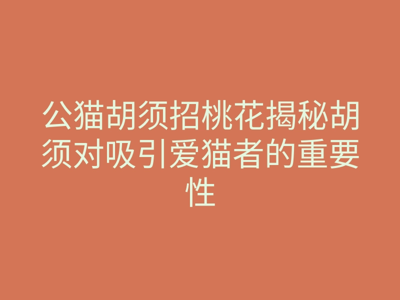 公猫胡须招桃花揭秘胡须对吸引爱猫者的重要性