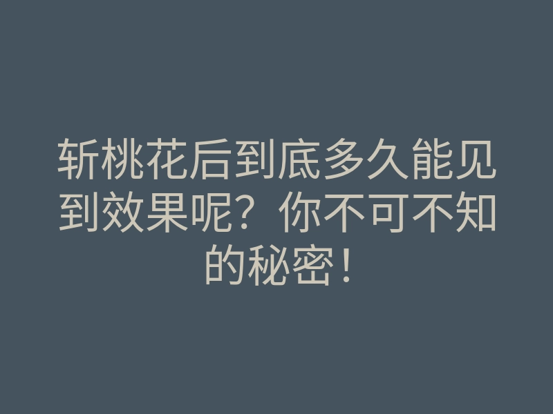 斩桃花后到底多久能见到效果呢?你不可不知的秘密!