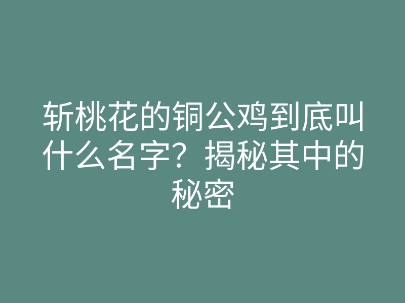 斩桃花的铜公鸡到底叫什么名字?揭秘其中的秘密