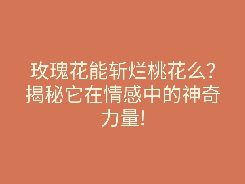 玫瑰花能斩烂桃花么？揭秘它在情感中的神奇力量!