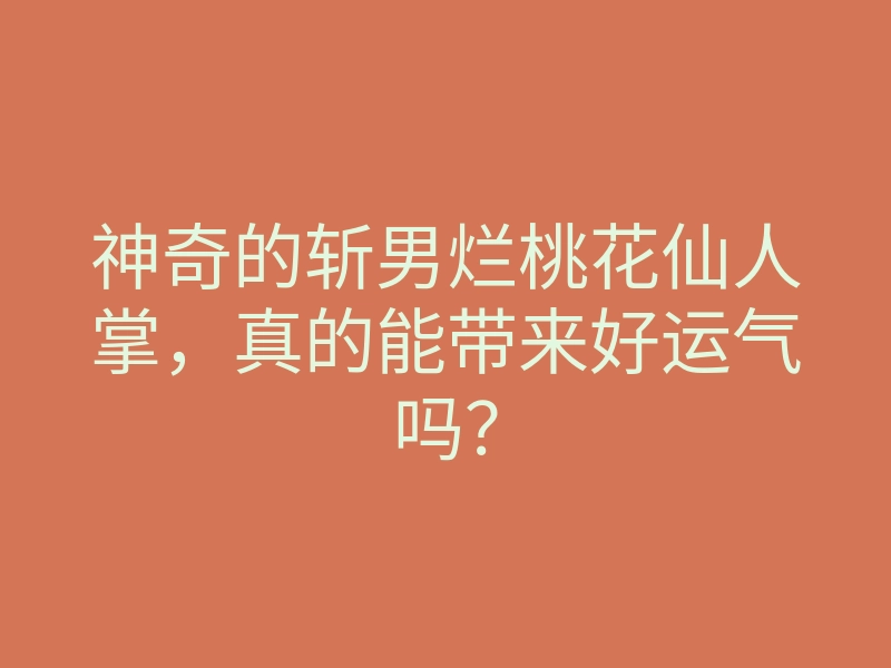 神奇的斩男烂桃花仙人掌,真的能带来好运气吗?