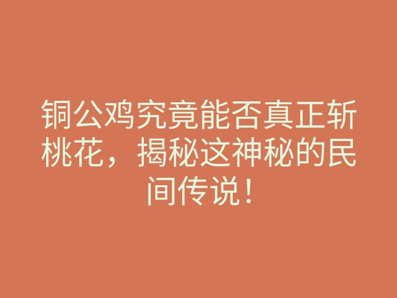 铜公鸡究竟能否真正斩桃花,揭秘这神秘的民间传说!