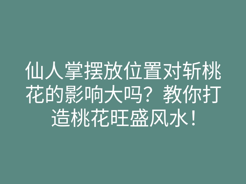 仙人掌摆放位置对斩桃花的影响大吗?教你打造桃花旺盛风水!